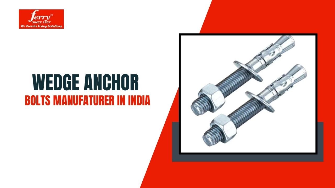 wedge anchor bolts Manufacturer in india